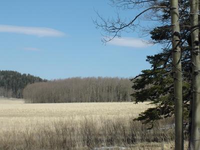 Lot 335 AF Chalets 2C Amended